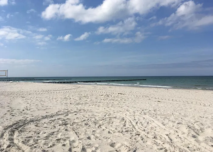 Seepferdchen