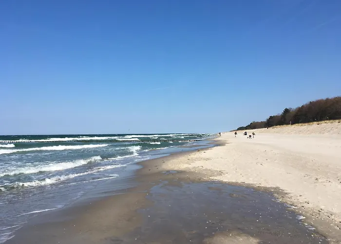 Seepferdchen