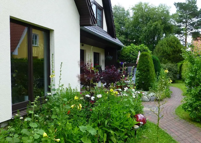 Seepferdchen